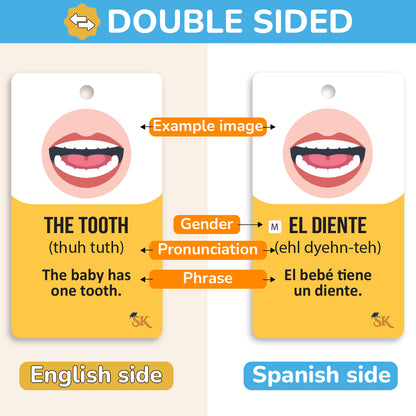 Learn everyday nouns