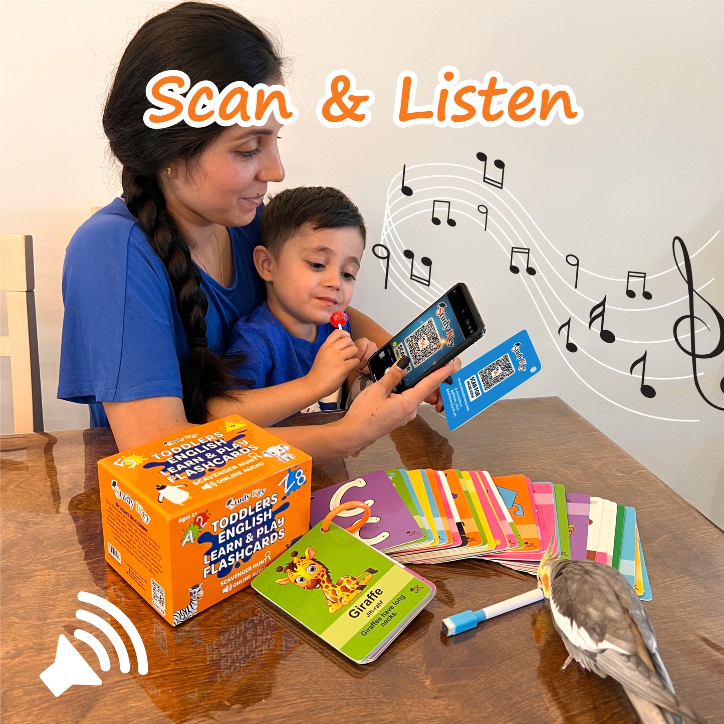 Toddlers English Flash Cards - Studykey